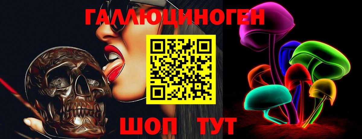 Урус-Мартан  Галлюциногенные грибы Psilocybe  где продают   Вход с VPN 